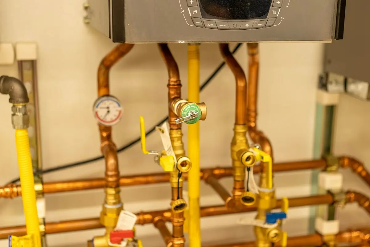 Licensed technician providing Emergency Plumbing for a homeowner in Ligonier